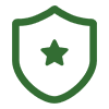 资质icon1